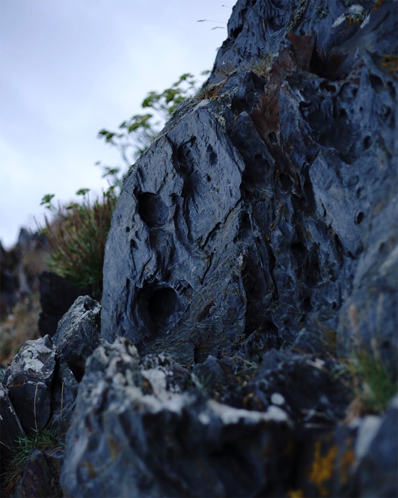 This is a very important text